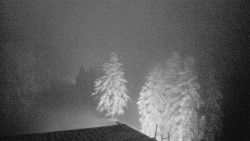 Lalíky vrcholová stanice