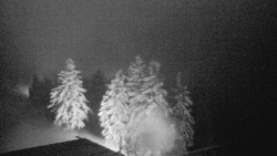 Lalíky vrcholová stanice