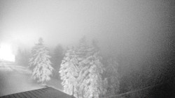 Lalíky vrcholová stanice