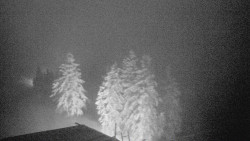 Lalíky vrcholová stanice