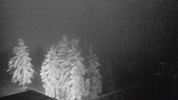 Lalíky vrcholová stanice