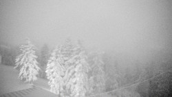 Lalíky vrcholová stanice