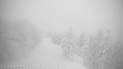 Lalíky vrcholová stanice