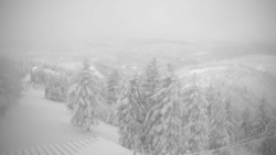 Lalíky vrcholová stanice