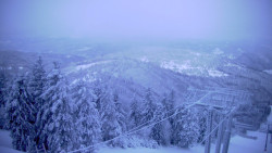 Lalíky vrcholová stanice