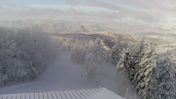 Lalíky vrcholová stanice