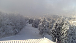 Lalíky vrcholová stanice