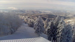 Lalíky vrcholová stanice