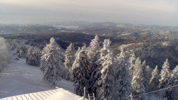 Lalíky vrcholová stanice