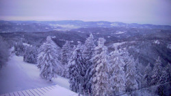 Lalíky vrcholová stanice