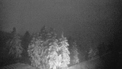 Lalíky vrcholová stanice