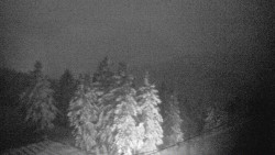 Lalíky vrcholová stanice