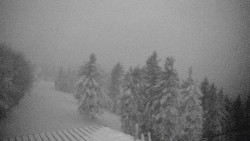 Lalíky vrcholová stanice