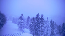 Lalíky vrcholová stanice