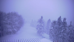 Lalíky vrcholová stanice