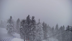 Lalíky vrcholová stanice