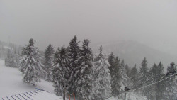 Lalíky vrcholová stanice