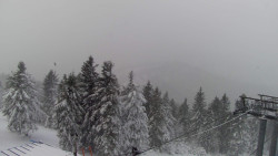 Lalíky vrcholová stanice