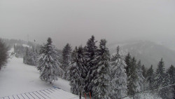 Lalíky vrcholová stanice