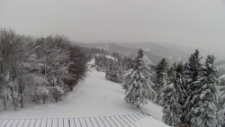 Lalíky vrcholová stanice