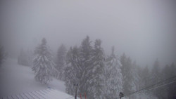 Lalíky vrcholová stanice