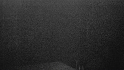 Lalíky vrcholová stanice