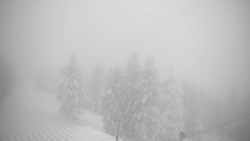 Lalíky vrcholová stanice