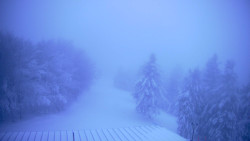 Lalíky vrcholová stanice