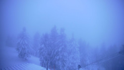 Lalíky vrcholová stanice