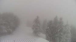 Lalíky vrcholová stanice