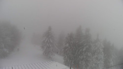 Lalíky vrcholová stanice