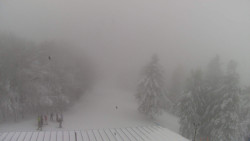 Lalíky vrcholová stanice