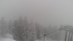 Lalíky vrcholová stanice