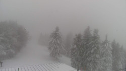 Lalíky vrcholová stanice