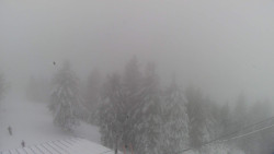 Lalíky vrcholová stanice