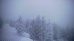 Lalíky vrcholová stanice