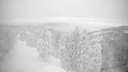 Lalíky vrcholová stanice