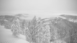 Lalíky vrcholová stanice