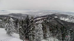 Lalíky vrcholová stanice