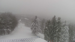 Lalíky vrcholová stanice