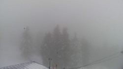 Lalíky vrcholová stanice