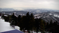 Lalíky vrcholová stanice