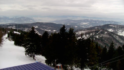 Lalíky vrcholová stanice