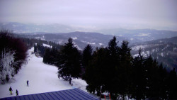 Lalíky vrcholová stanice