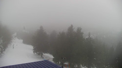 Lalíky vrcholová stanice