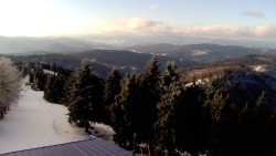 Lalíky vrcholová stanice