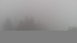 Lalíky vrcholová stanice