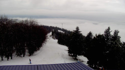 Lalíky vrcholová stanice