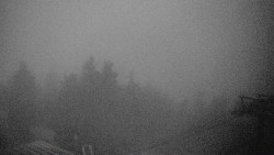 Lalíky vrcholová stanice