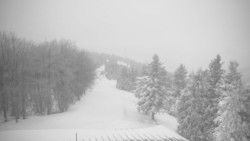 Lalíky vrcholová stanice